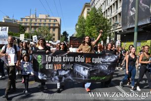 Η μαζικότερη πορεία διαμαρτυρίας για όσα οι άνθρωποι κάνουν στα ζώα πραγματοποιήθηκε στην Αθήνα (βίντεο)
