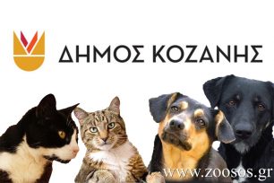 Ελέγχους και στους ιδιοκτήτες ζώων συντροφιάς θα κάνει ο Δήμος Κοζάνης