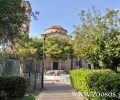 Αθήνα: Βρήκαν δεκάδες δηλητηριασμένα περιστέρια έξω από την εκκλησία του Αγίου Ιωάννη στον Νέο Κόσμο (βίντεο)