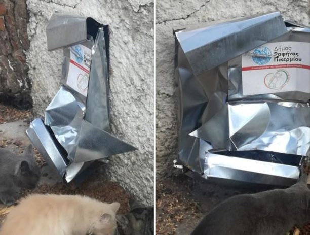 Ραφήνα Αττικής: Ακόμα μια ταΐστρα για τις γάτες βρέθηκε σπασμένη σε καμένη περιοχή