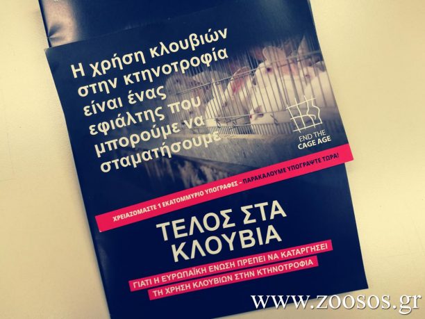 Ε. Ματαράγκα: Χρειαζόμαστε 15.750 υπογραφές πολιτών για τη συμμετοχή της Ελλάδας στην εκστρατεία «Τέλος στα Κλουβιά» (ηχητικό)