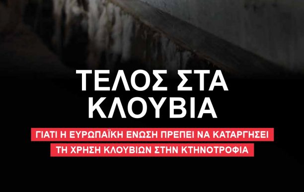 Ζώα σε κλουβιά, οι αιώνιοι σκλάβοι μας - Βάλε την υπογραφή σου ώστε αυτό το έγκλημα να σταματήσει! (Bίντεο)