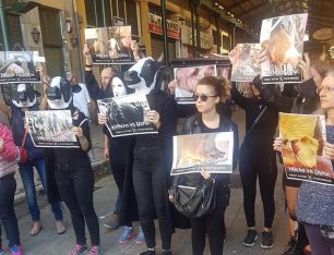 Για διαστρέβλωση από Μ.Μ.Ε. κάνουν λόγο ακτιβιστές που διαμαρτυρήθηκαν στη Βαρβάκειο για τα μαρτύρια των ζώων στη βιομηχανία κρέατος (βίντεο)