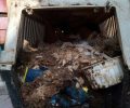 Αρκαδικό Αργολίδας: Δεκάδες κακοποιημένα σκυλιά - γάτες ζούσαν ανάμεσα σε πτώματα ζώων & όγκους σκουπιδιών σε σπίτι ηλικιωμένων