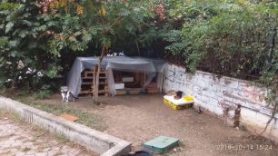 Υπάλληλοι του Δήμου Θεσσαλονίκης κατέστρεψαν ξύλινη κατασκευή που προστάτευε τις αδέσποτες γάτες