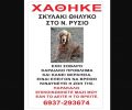 Χάθηκε θηλυκός σκύλος (Κόκερ) στο Νέο Ρύσιο Θεσσαλονίκης