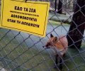 Παρέμβαση στον Δημοτικό Ζωολογικό Κήπο Θεσσαλονίκης για την αιχμαλωσία ζώων που θεωρείται «φυσιολογική»