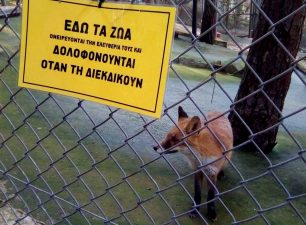 Παρέμβαση στον Δημοτικό Ζωολογικό Κήπο Θεσσαλονίκης για την αιχμαλωσία ζώων που θεωρείται «φυσιολογική»