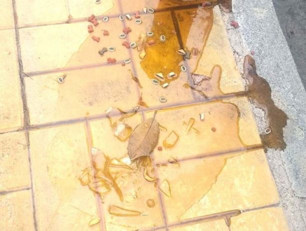 Αργολίδα: Φόλα με σκυλοτροφή, γυαλιά και μέλι σε πλατεία στο Άργος