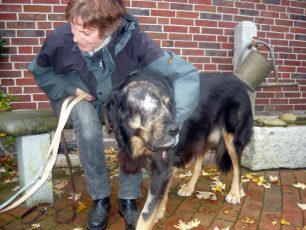 Υιοθετήθηκε στη Γερμανία ο σκύλος που ο ιδιοκτήτης του πυροβόλησε και τύφλωσε στην Εγλυκάδα Αχαΐας