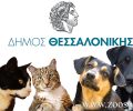 Τεράστια η αποτυχία του Δήμου Θεσσαλονίκης στη φροντίδα αδέσποτων γατιών και σκυλιών