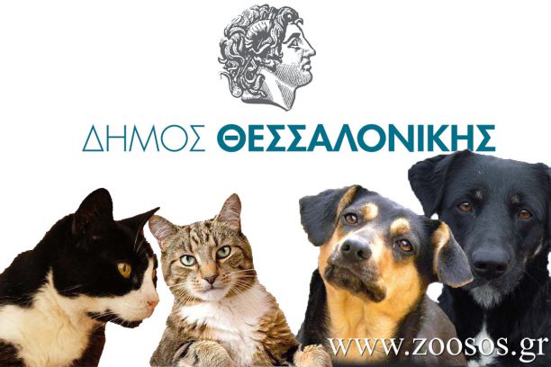 Το πρόγραμμα του Δήμου Θεσσαλονίκης για τα αδέσποτα ζώα