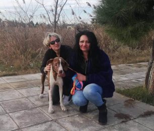 Υιοθέτησε τον σκύλο που κάποιος πυροβόλησε στο κεφάλι στα Δολιανά Ιωαννίνων
