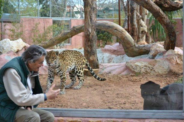 Μωραίνει Κύριος τον πωλούντα τα εισιτήρια στο Αττικό Ζωολογικό Πάρκο