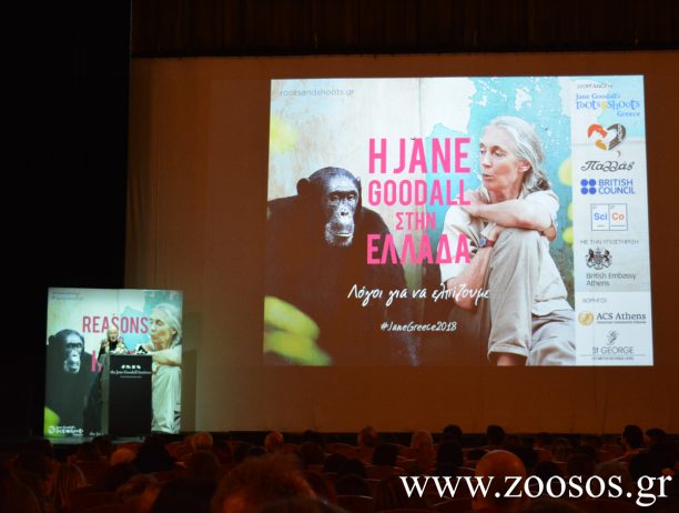 Jane Goodall: Ο σκύλος μου ήταν ο μεγάλος μου δάσκαλος γιατί με έμαθε ότι τα ζώα έχουν και συναισθήματα και χαρακτήρα
