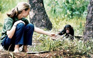 To ντοκιμαντέρ για την Jane Goodall στο Φεστιβάλ Κινηματογράφου Θεσσαλονίκης (βίντεο)