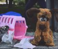 Ένα εξαιρετικό βίντεο για την εγκατάλειψη των σκυλιών που αξίζει να δείτε