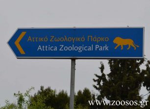Σκληρή απάντηση του βουλευτή Γ. Αμυρά στο Αττικό Ζωολογικό Πάρκο που ενοχλείται από όσους διαμαρτύρονται για τη δολοφονία των τζάγκουαρ