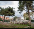 7 πάρκα σκύλων στον Δήμο Νίκαιας – Αγίου Ιωάννη Ρέντη
