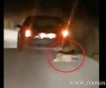 Βόνιτσα Αιτωλοακαρνανίας: Έσερνε σκύλο στην άσφαλτο με το αυτοκίνητο (βίντεο)