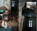 Έκκληση για τις δύο γυναίκες που μένουν σε διαλυμένο σπίτι με τις 10 γάτες τους στο κέντρο της Αθήνας (βίντεο)