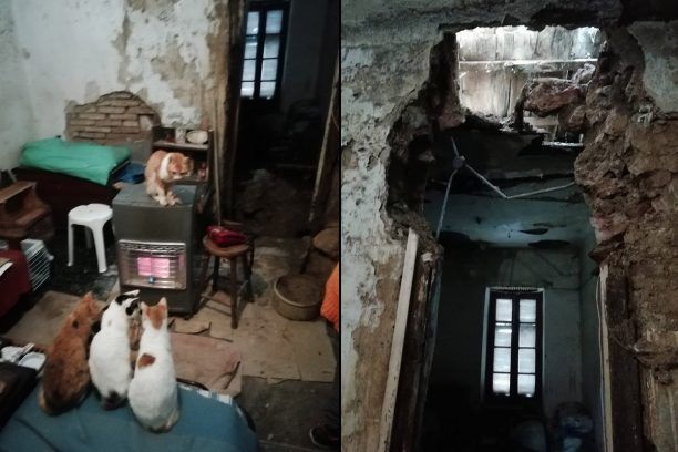 Έκκληση για τις δύο γυναίκες που μένουν σε διαλυμένο σπίτι με τις 10 γάτες τους στο κέντρο της Αθήνας (βίντεο)