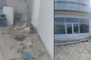 Θύριο Αιτωλοακαρνανίας: Σκύλος ζει εγκλωβισμένος σε άδειο κατάστημα και κανείς από τους αρμόδιους δεν ενοχλείται για όσα το ζώο υφίσταται