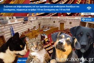 Καταψηφίστηκε στη Βουλή το άρθρο 24Α ώστε η προστασία των ζώων να περιλαμβάνεται στη Συνταγματική Αναθεώρηση (βίντεο)