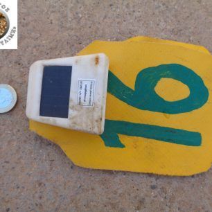 GypasNikoletaLakonia 1