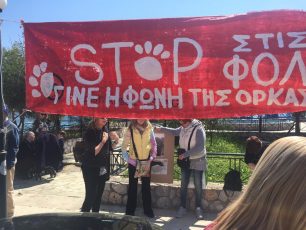Διαμαρτυρήθηκαν για τη συστηματική εξόντωση δεκάδων ζώων με φόλες στον Κόρφο Κορινθίας (βίντεο)