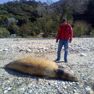 FokiaSamos2019 4 17 3