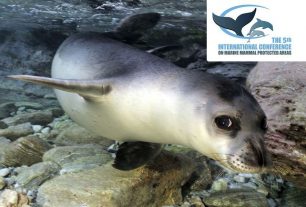 Στην Ελλάδα το μεγαλύτερο συνέδριο για τα θαλάσσια θηλαστικά και τις θαλάσσιες προστατευόμενες περιοχές