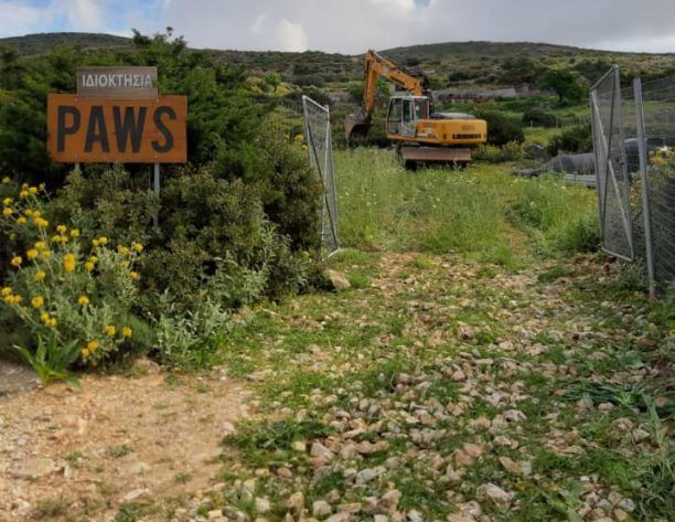 Πάρος: Άρχισε η κατασκευή καταφυγίου ζώων συντροφιάς του P.A.W.S. στο Μαράθι (βίντεο)