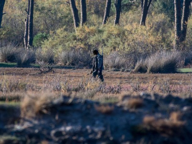 «Οικολογική Κίνηση Πάτρας»: Οργιάζουν οι κυνηγοί στην καρδιά του Εθνικού Πάρκου Κοτυχίου - Στροφυλιάς!