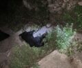 Δύο σκυλιά δολοφονημένα με φόλες στην Αράχωβα Βοιωτίας