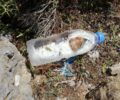 Κρήτη: 7 δοχεία με δηλητηριασμένο γάλα και 30 φόλες εντόπισε ο εκπαιδευμένος σκύλος σε περιοχές του Λασιθίου