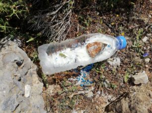Κρήτη: 7 δοχεία με δηλητηριασμένο γάλα και 30 φόλες εντόπισε ο εκπαιδευμένος σκύλος σε περιοχές του Λασιθίου