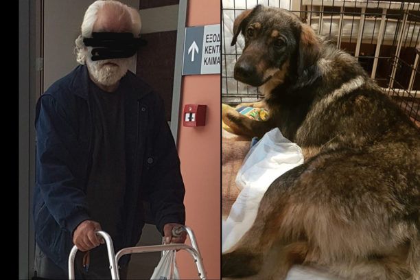 Κέρκυρα: Μεγάλη καταδικαστική ποινή για τον 67χρονο που πυροβόλησε σκύλο και τον άφησε παράλυτο