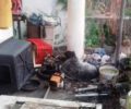Ο δολοφόνος του Κ. Κατσουλάκη σκότωνε αδέσποτα & κακοποιούσε και τον σκύλο του στο Ορθούνι Χανίων