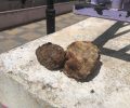 Κρήτη: Φόλες – δηλητηριασμένα μπιφτέκια σκόρπισε έξω από Δημοτικό Σχολείο στα Παχιανά Χανίων