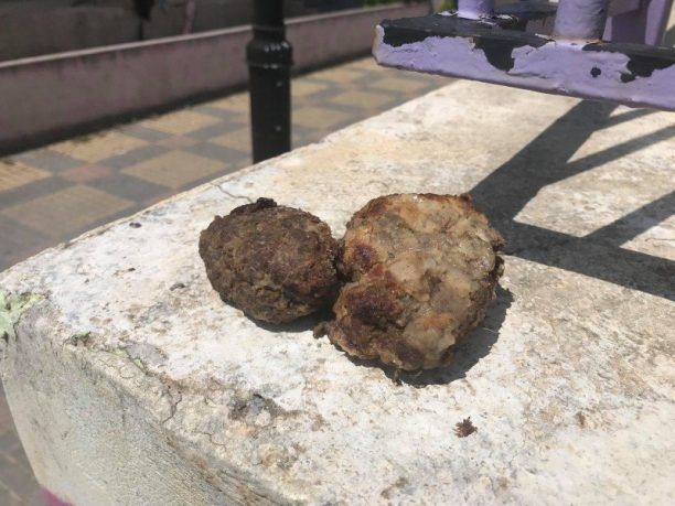 Κρήτη: Φόλες – δηλητηριασμένα μπιφτέκια σκόρπισε έξω από Δημοτικό Σχολείο στα Παχιανά Χανίων