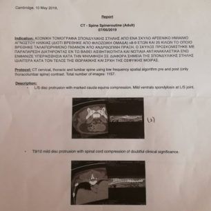 PalliniKataplakomenosSkylosDiagnosi2019 1