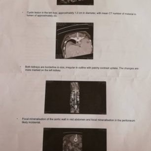 PalliniKataplakomenosSkylosDiagnosi2019 2