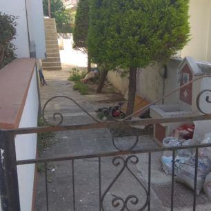 Πέθανε το σκυλί που βρέθηκε εξαθλιωμένο σε αυλή σπιτιού στη Ρόδο 1 RodosSkylosKatakitosKenenti 0