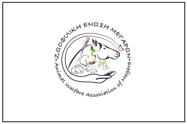 Στειρώσεις χαμηλού κόστους για θηλυκά οικόσιτα σκυλιά προσφέρει η Ζωοφιλική Ένωση Μεγάρων