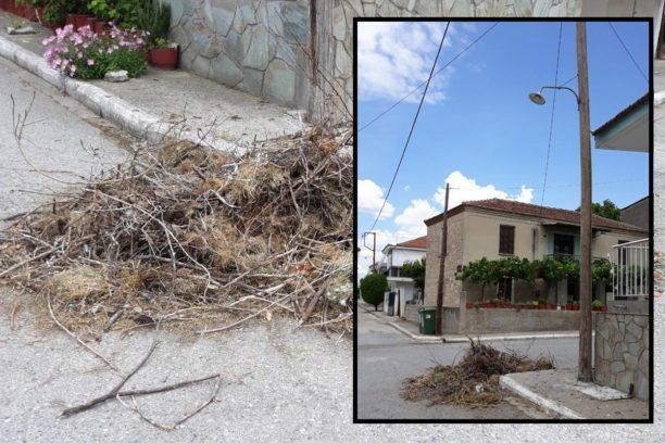 Συνεργείο της Δ.Ε.Η. κατέστρεψε φωλιά πελαργού στο Αιγίνιο Πιερίας (ηχητικό)