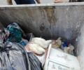 Πέταξε ζωντανές 6 κότες σε κάδο σκουπιδιών στην Καλλιθέα Αττικής
