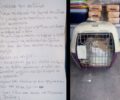 Εγκατέλειψε και άλλες δύο οικόσιτες γάτες έξω από κτηνιατρείο της Αθήνας