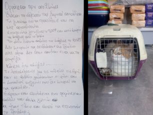 Εγκατέλειψε και άλλες δύο οικόσιτες γάτες έξω από κτηνιατρείο της Αθήνας