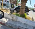 Κάμερα βενζινάδικου κατέγραψε γυναίκα που πάτησε με Ι.Χ. σκύλο & τον εγκατέλειψε στα Κουνουπιδιανά Χανίων (βίντεο)
